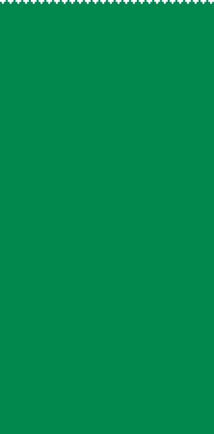 Footer BG